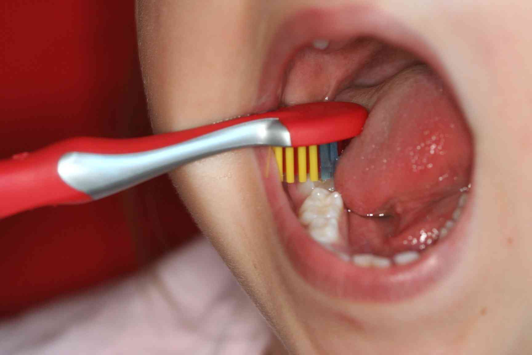 Billedet viser tandbørstning af 6-årstanden.