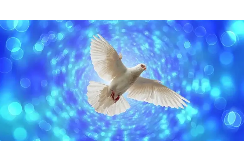 Billedet viser en due der flyver under en blå himmel.